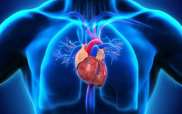 Coronary Artery Disease | Cardiologist | Dr Sveeta Badiani