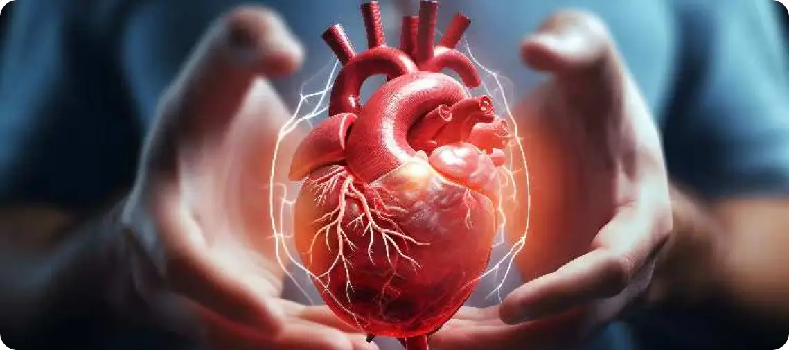 Stylised digital illustration of a glowing human heart with visible arteries, appearing to float between two protective hands against a dark background, symbolising heart health and care.