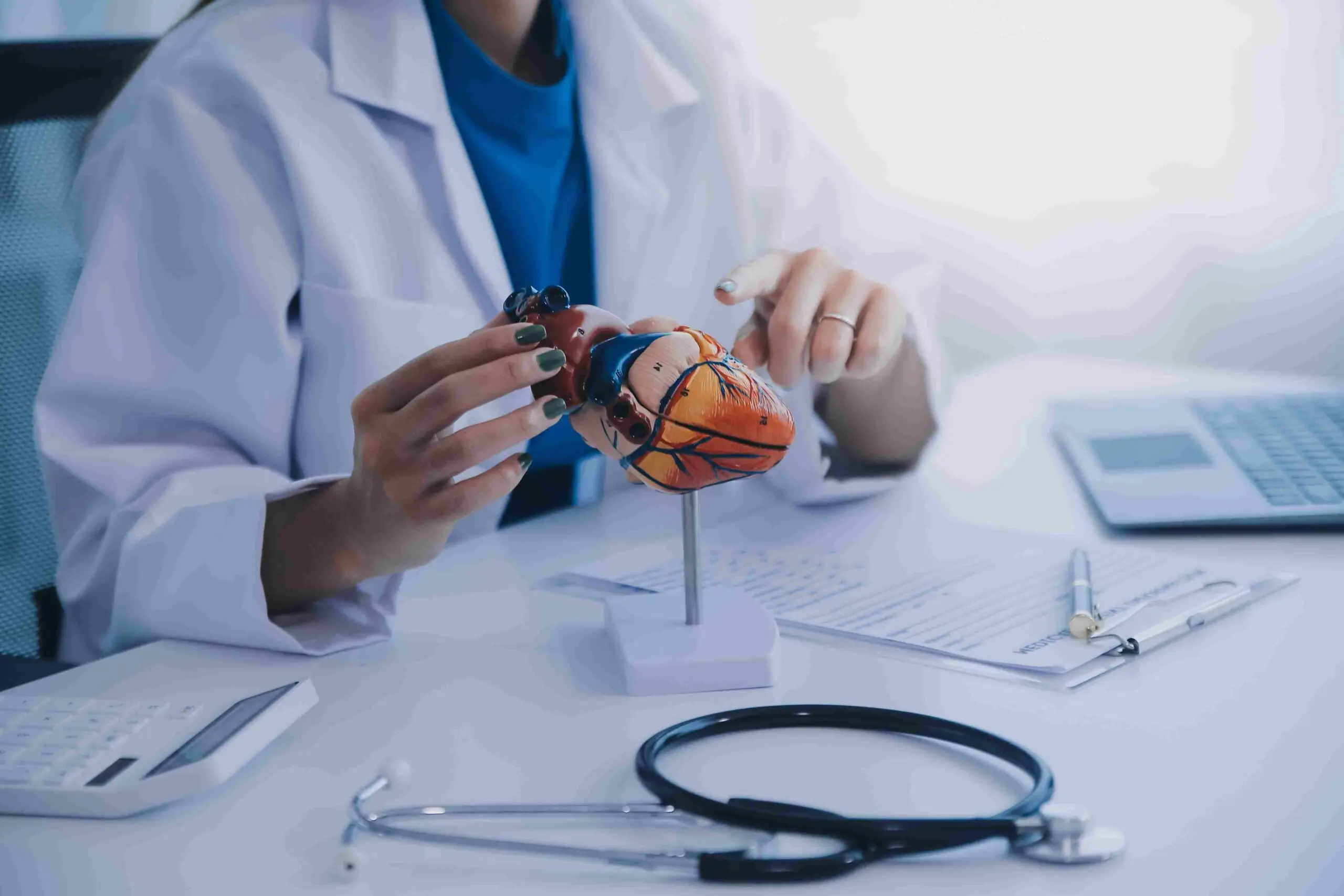 cardiologist demonstrating heart anatomy